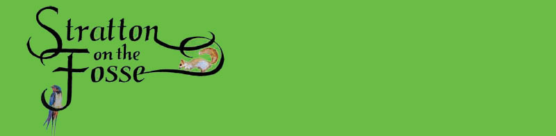 Web Logo